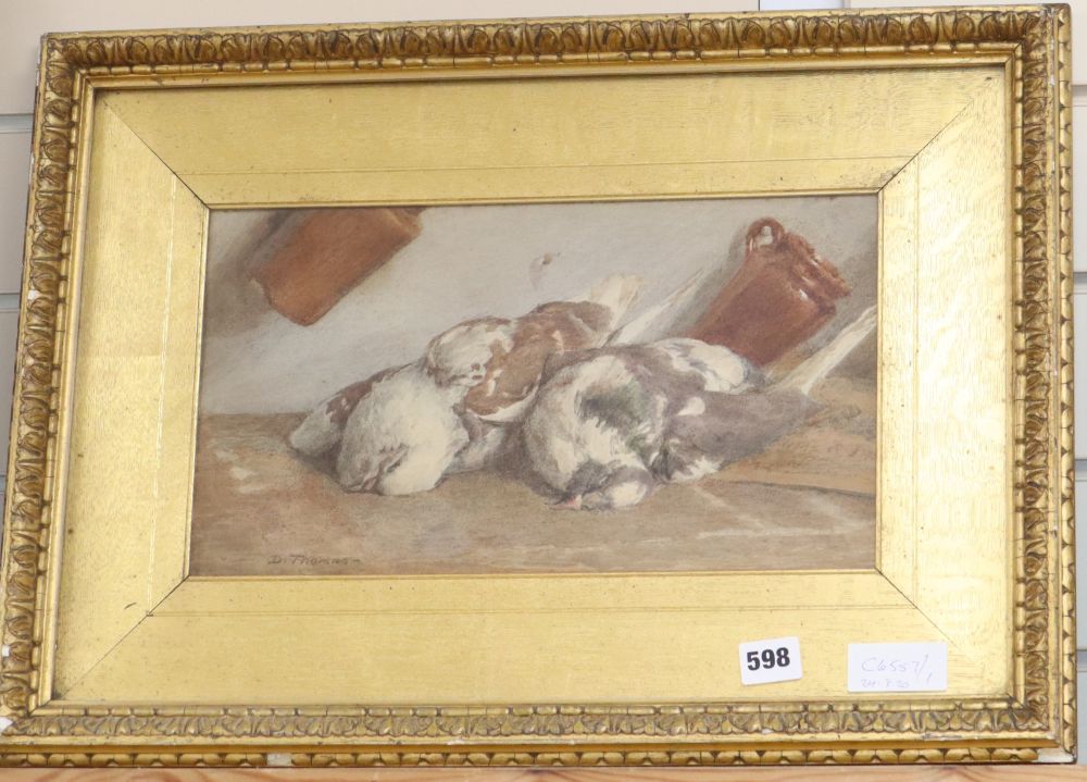 E. Thomas, watercolour, Study of dead pigeons, signed, 21 x 36cm